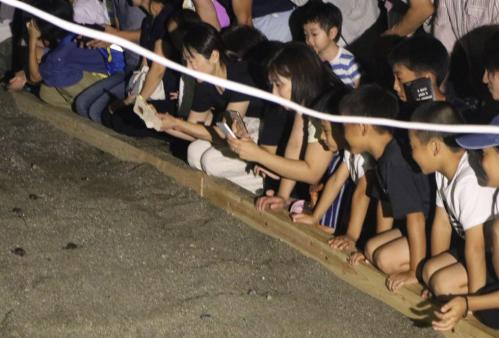 ９月１６日の朝、高浜海岸に産卵していたウミガメの赤ちゃんが「ふ化」し、その日の夜、たくさんの人が見守る中、「ウミガメの放流」が行われました