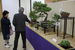 盆栽の作品です