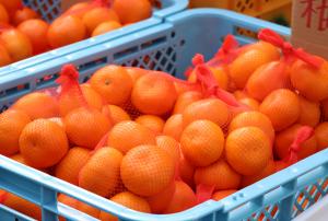 津久見特産みかんの販売の様子です