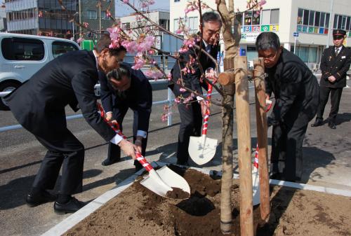 津久見ロータリークラブさんから河津桜の成木２本を寄贈していただき、２月１０日、津久見駅前駐車場に記念植樹を行いました