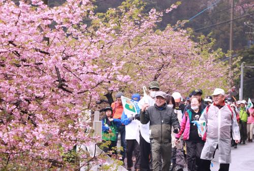 ２月１６日、「第１８回豊後水道絶景ウォーク～四浦半島かわづ桜ステージ～」が開催されました